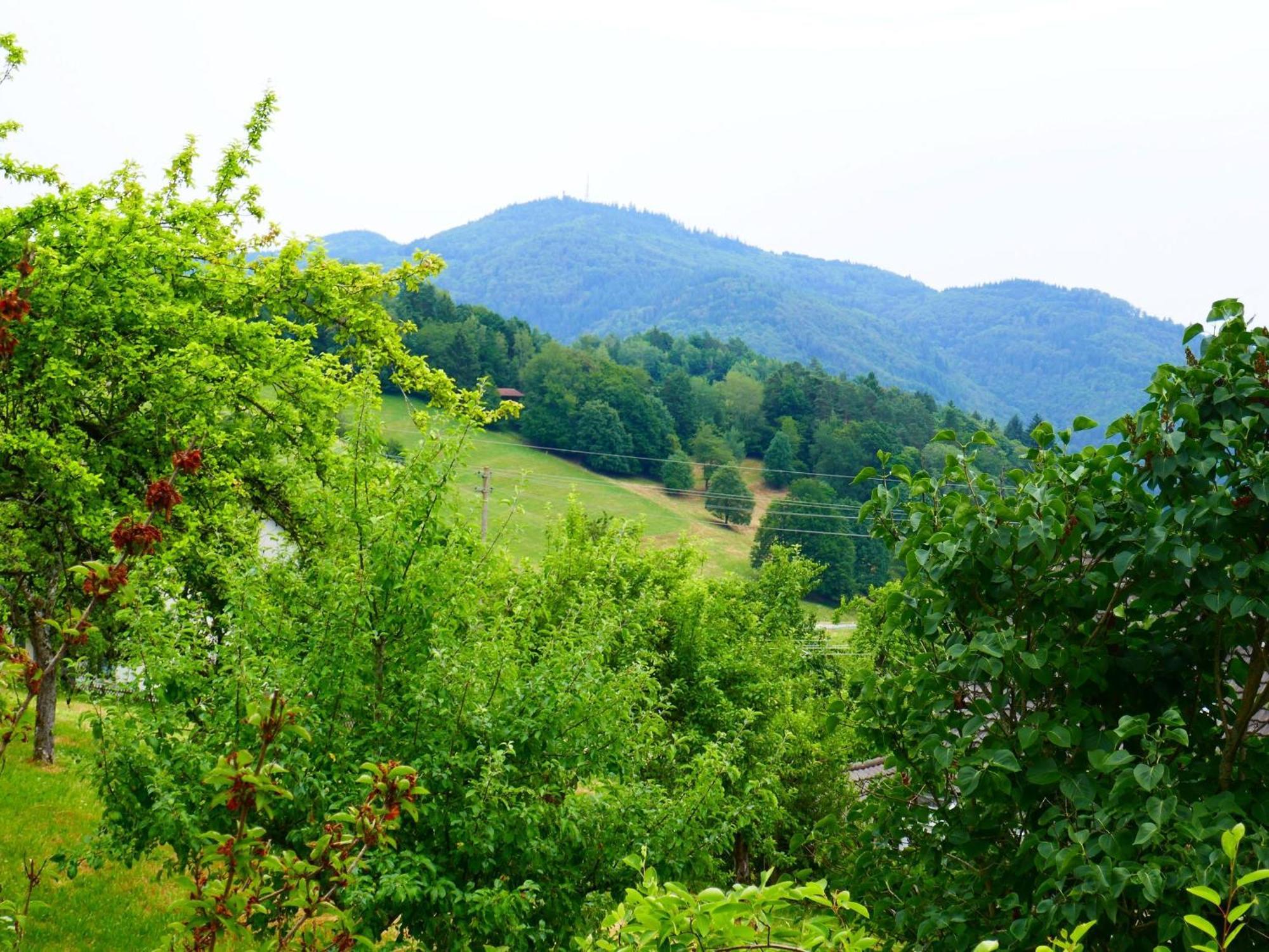 Haus Landblick Apartment Zell im Wiesenthal ภายนอก รูปภาพ